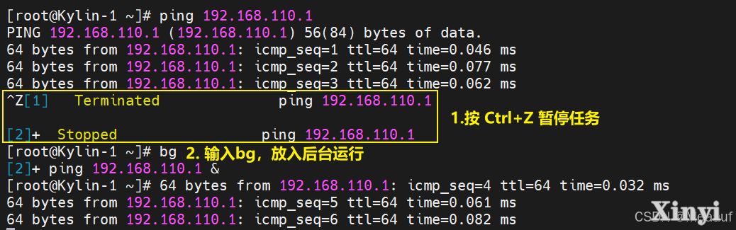 Kylin麒麟桌面操作系统运维 | 终端与Shell-9.png