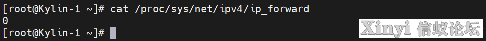 KylinSP3 | 麒麟安全增强设置KySec与防火墙设置-4.png