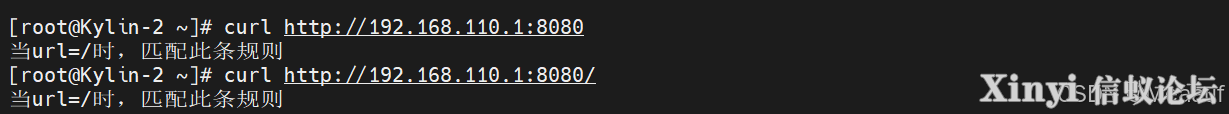 全网最详细基于Kylin的Nginx服务部署与配置（2/2）-3.png