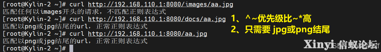 全网最详细基于Kylin的Nginx服务部署与配置（2/2）-6.png