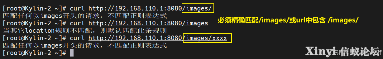 全网最详细基于Kylin的Nginx服务部署与配置（2/2）-5.png