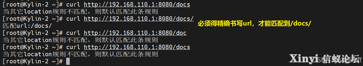 全网最详细基于Kylin的Nginx服务部署与配置（2/2）-4.png