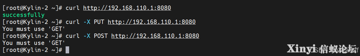 全网最详细基于Kylin的Nginx服务部署与配置（2/2）-14.png