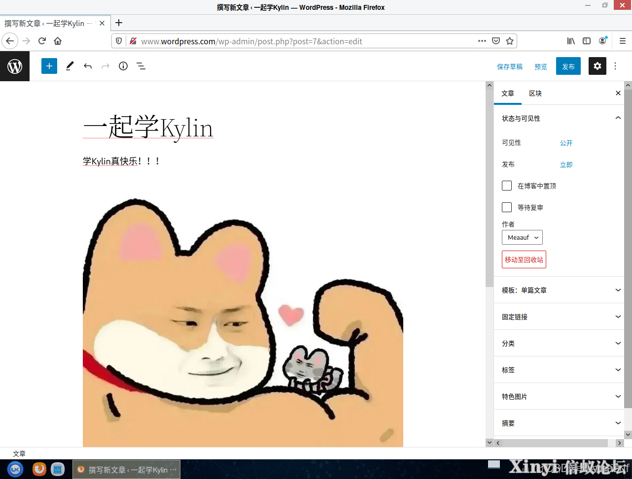 全网最详细基于Kylin的Nginx服务部署与配置（2/2）-60.png