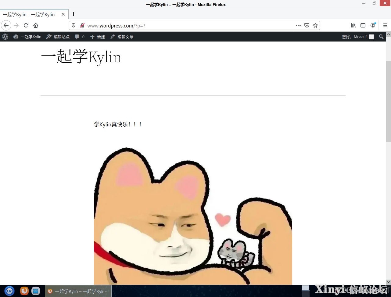 全网最详细基于Kylin的Nginx服务部署与配置（2/2）-62.png