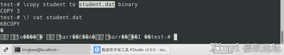 人大金仓KCA | 数据库对象管理工具与命令行工具KSQL-32.png