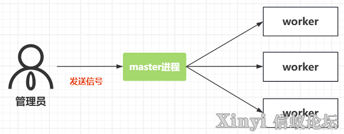 全网最详细基于Kylin的Nginx服务部署与配置（1/2）-1.png