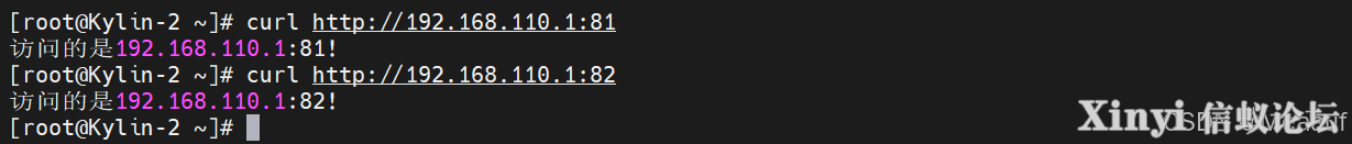 全网最详细基于Kylin的Nginx服务部署与配置（1/2）-26.png