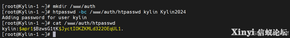 全网最详细基于Kylin的Nginx服务部署与配置（1/2）-65.png