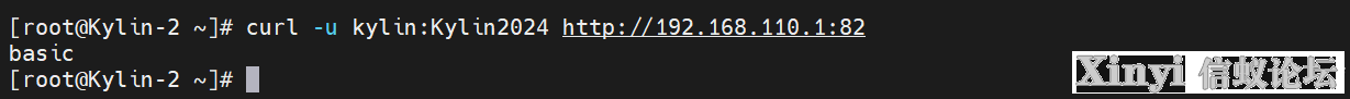 全网最详细基于Kylin的Nginx服务部署与配置（1/2）-69.png