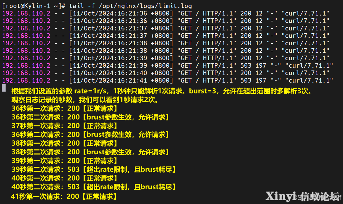 全网最详细基于Kylin的Nginx服务部署与配置（1/2）-73.png