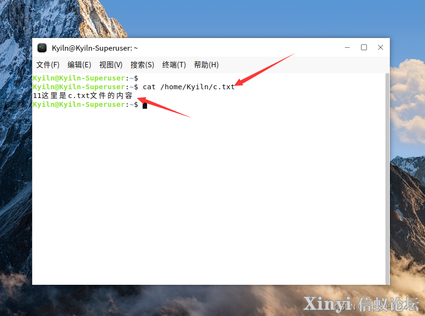 麒麟操作系统（Kylin）入门-扩展-目录-基础命令-2.png