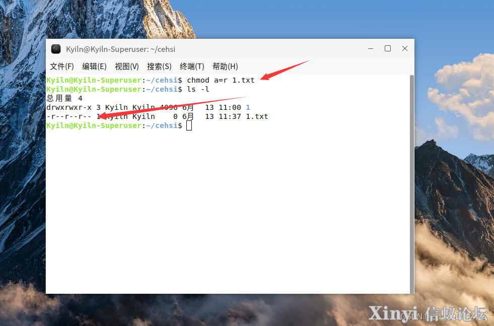 麒麟操作系统（Kylin）入门-扩展-目录-基础命令-6.png