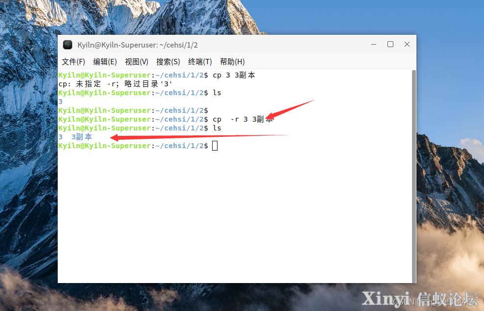 麒麟操作系统（Kylin）入门-扩展-目录-基础命令-13.png
