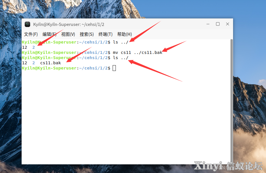 麒麟操作系统（Kylin）入门-扩展-目录-基础命令-12.png