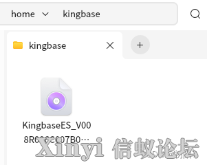 国产化（二）：数据库——人大金仓kingbase8-9.png
